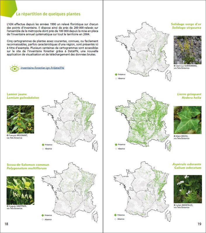 Cartogrammes de répartition d'espèces végétales