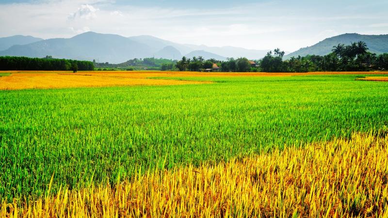 Top 20 des communes par surface cultivées en Bio