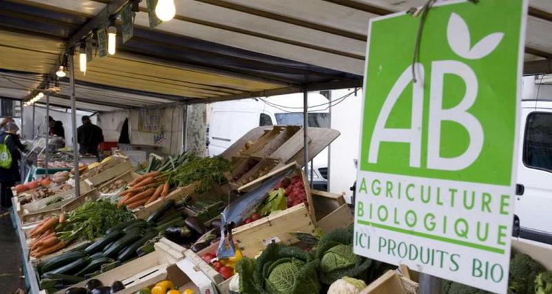 L’AGRICULTURE BIO EN FRANCE, ENTRE PROGRÈS ET CONSOLIDATION