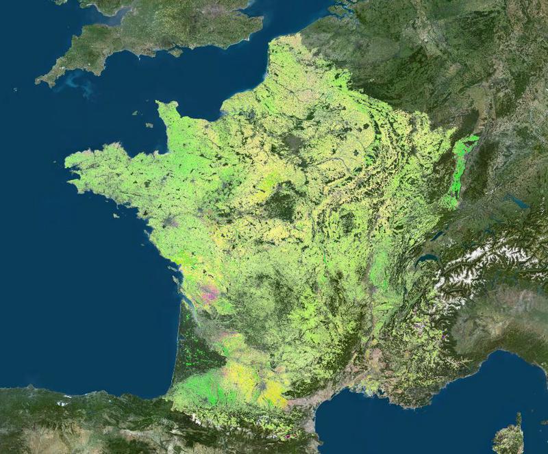 RPG 2008 - visualisation en ligne