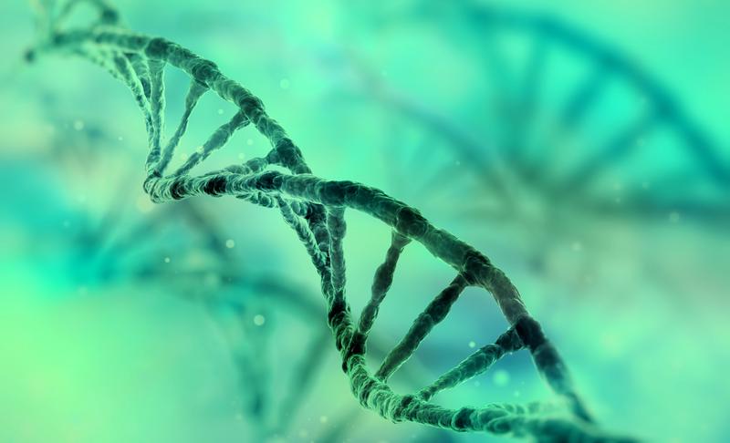 French market of EGFR tyrosine-kinase inhibitors for NSCLC