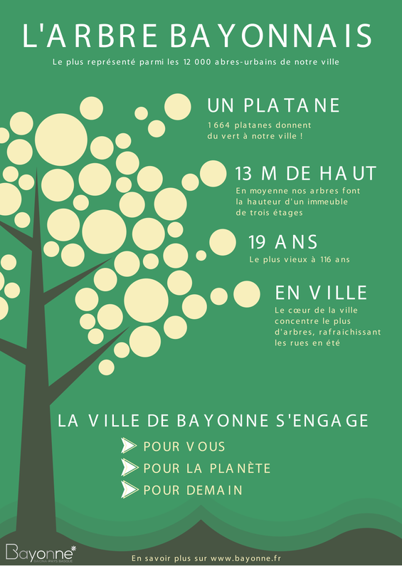 L’arbre typique de Bayonne