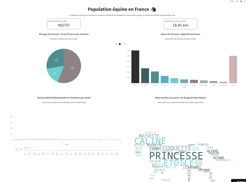 Dashboard sur la population équine en 2023