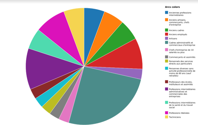 Répartition par Catégorie Socio-Professionnelle des conseillers municipaux de la ville d'Epinal 